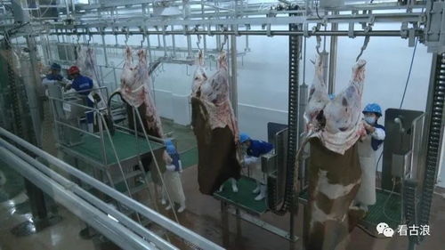 市政协调研组赴古浪县调研农产品加工产业发展情况，聚焦超声技术赋能产业升级