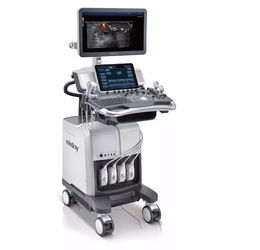 国内超声影像技术领域的十大技术开发金刚