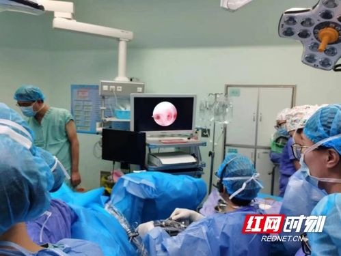 专注超声技术 江湾医院赴云南大学附属医院共享建院95周年学术会议成果